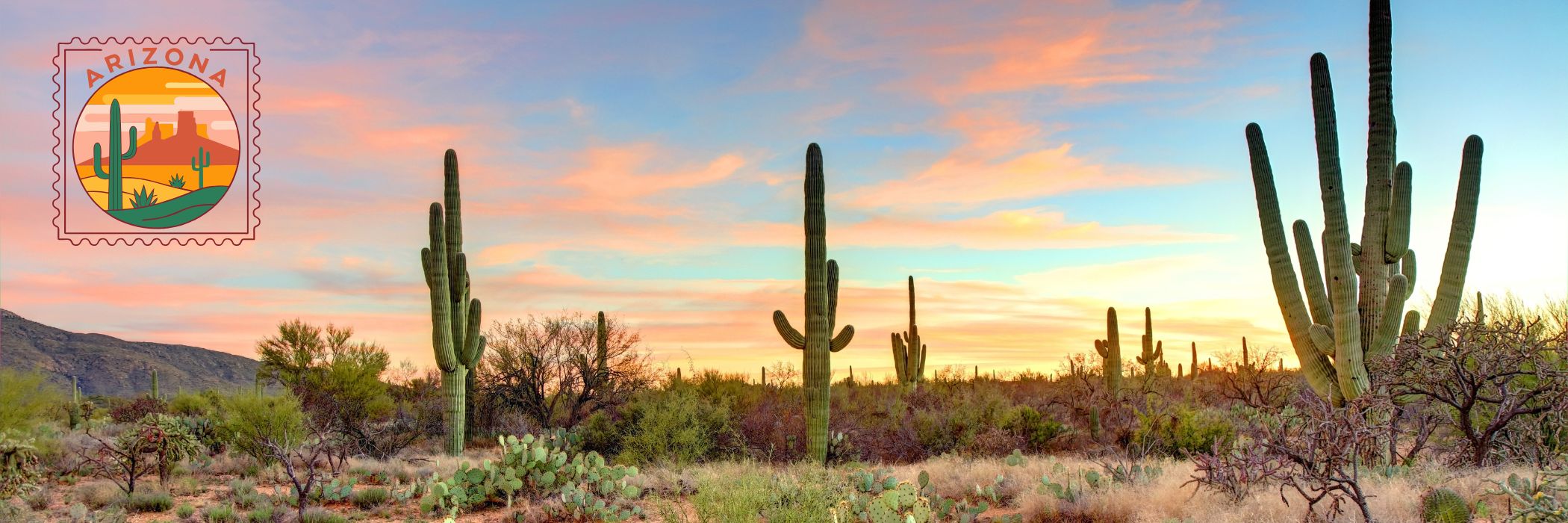 Arizona — local EMS imagery