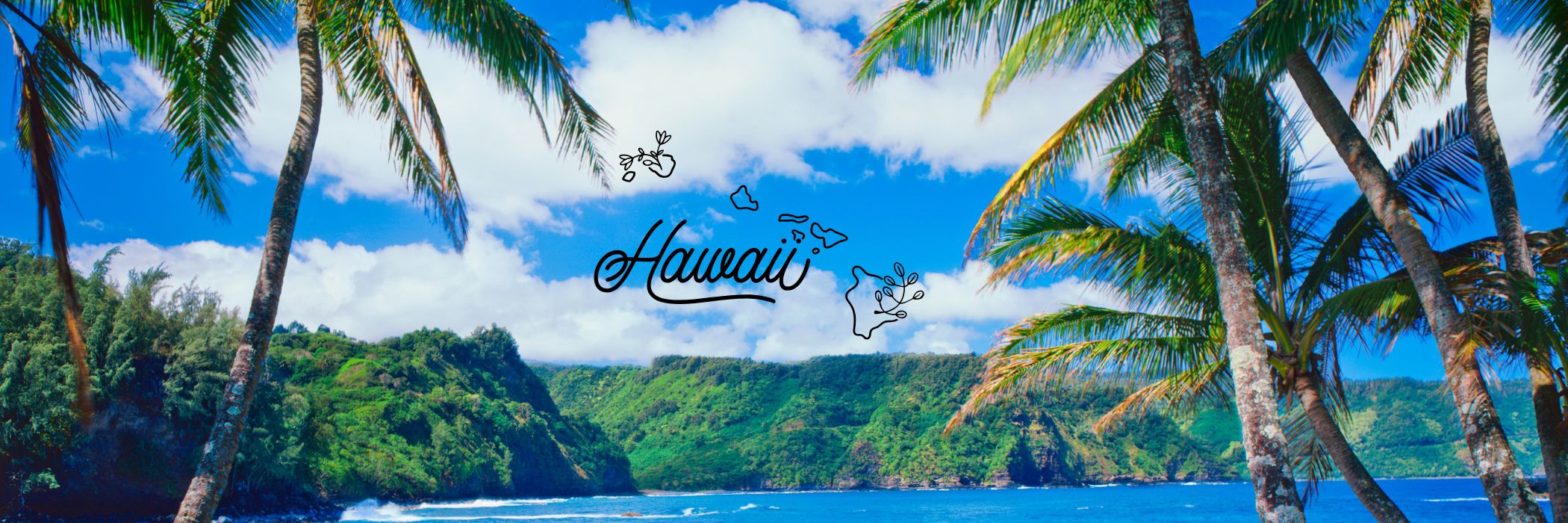 Hawaii — local EMS imagery